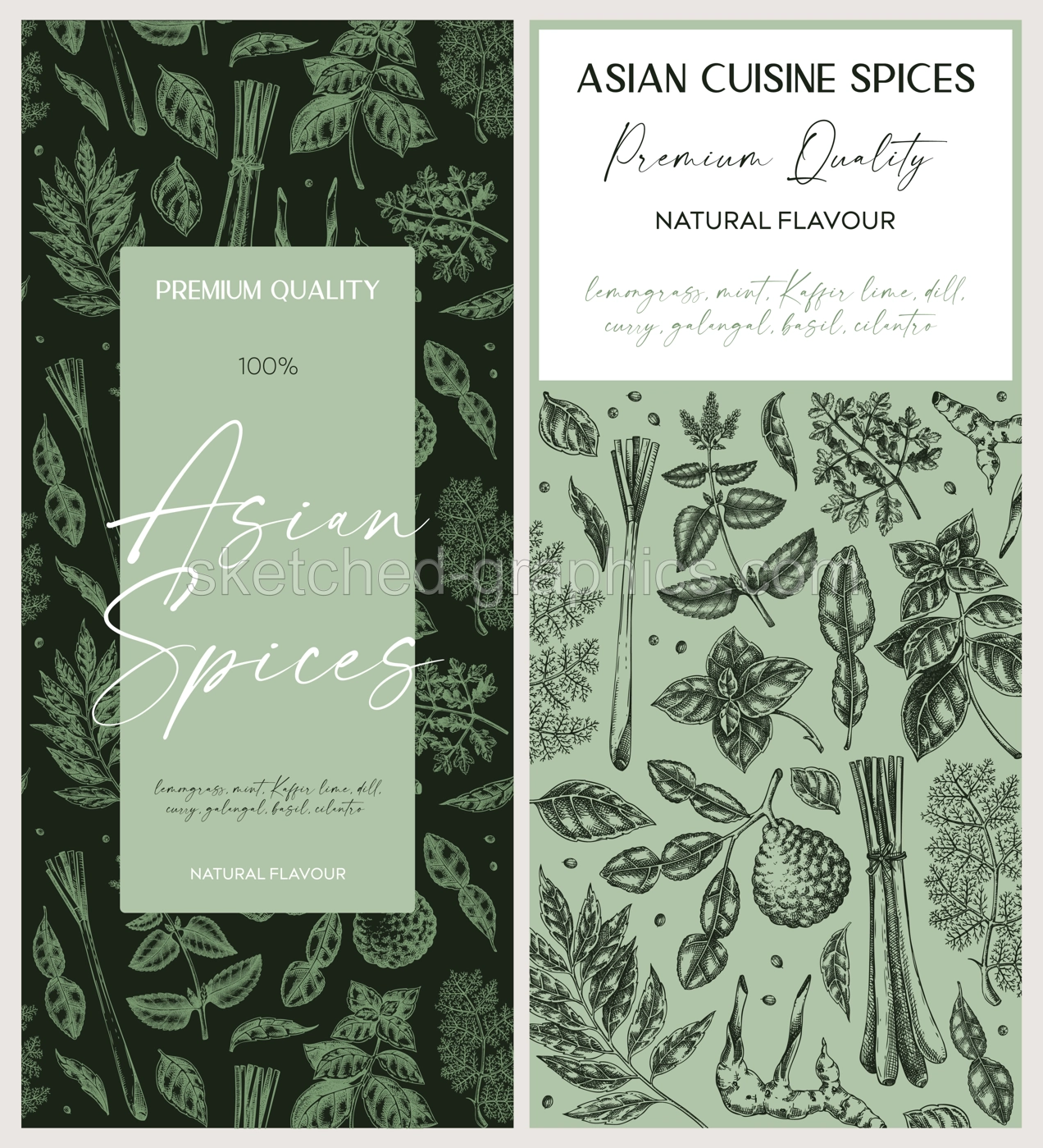 Asian spice label design. Basil, curry, calangal, cilantro, lime sketches. Herbs hand-drawn vector illustration. Vintage spice banner template. . NOT AI generated Illustration